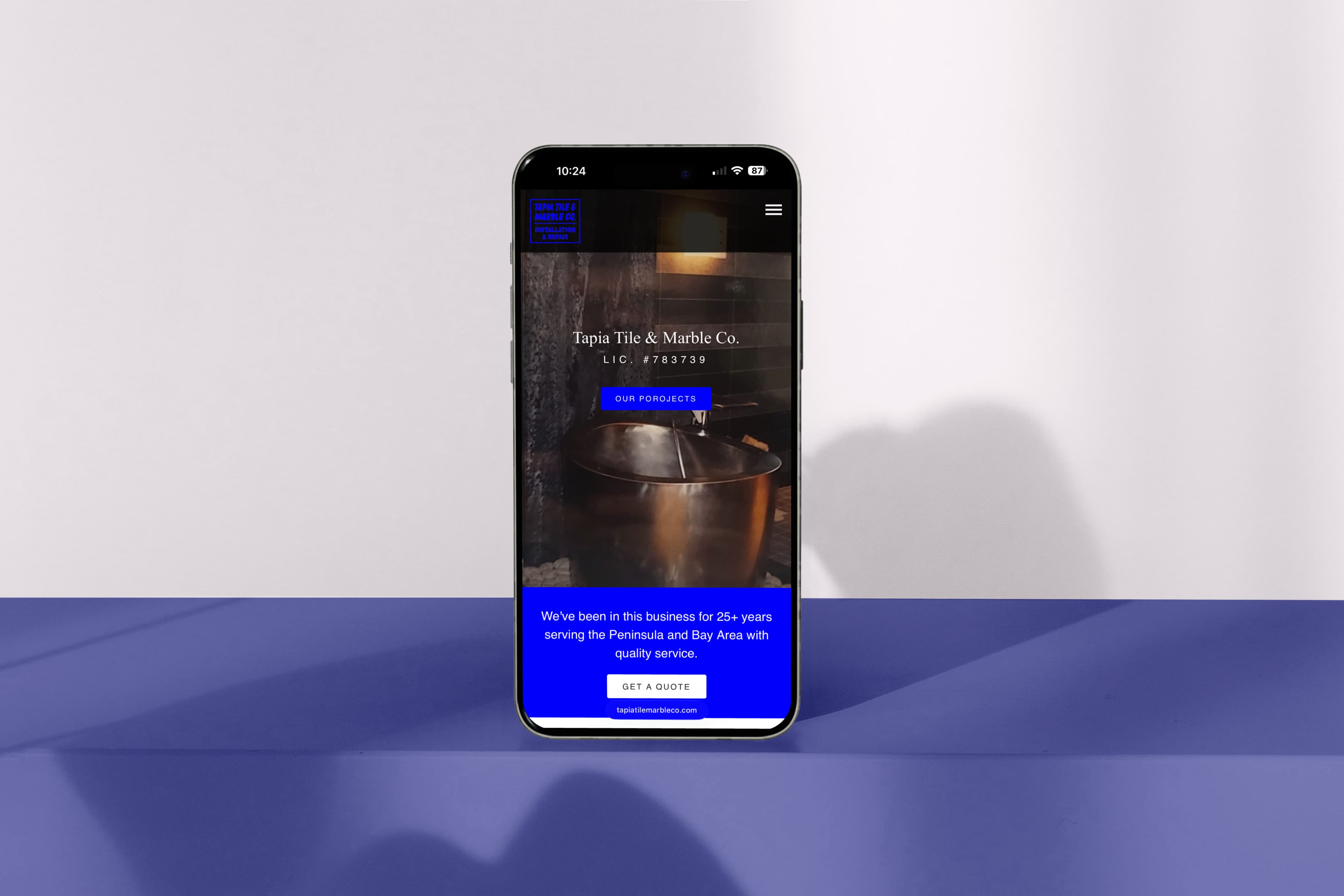 Project Preview
